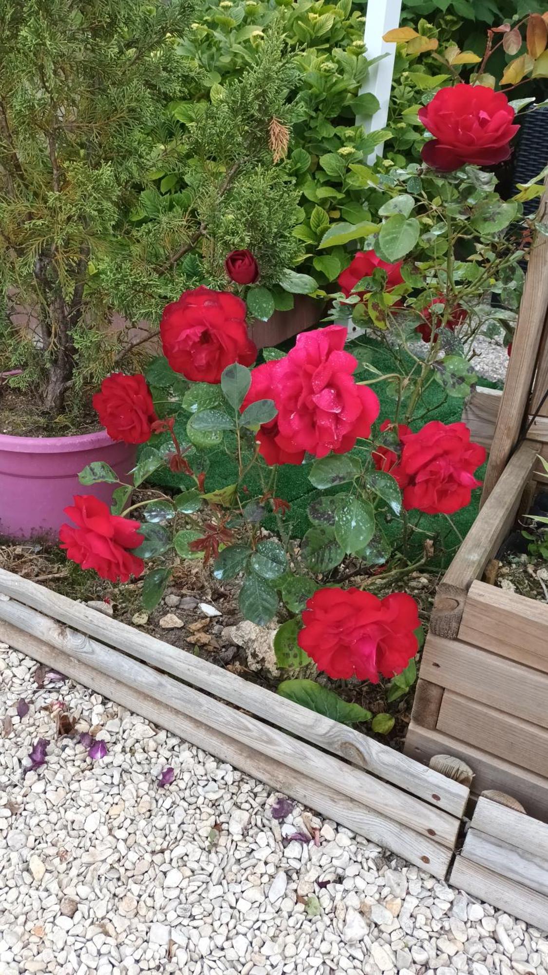 Le Clos Des Passiflores Пон Екстер'єр фото
